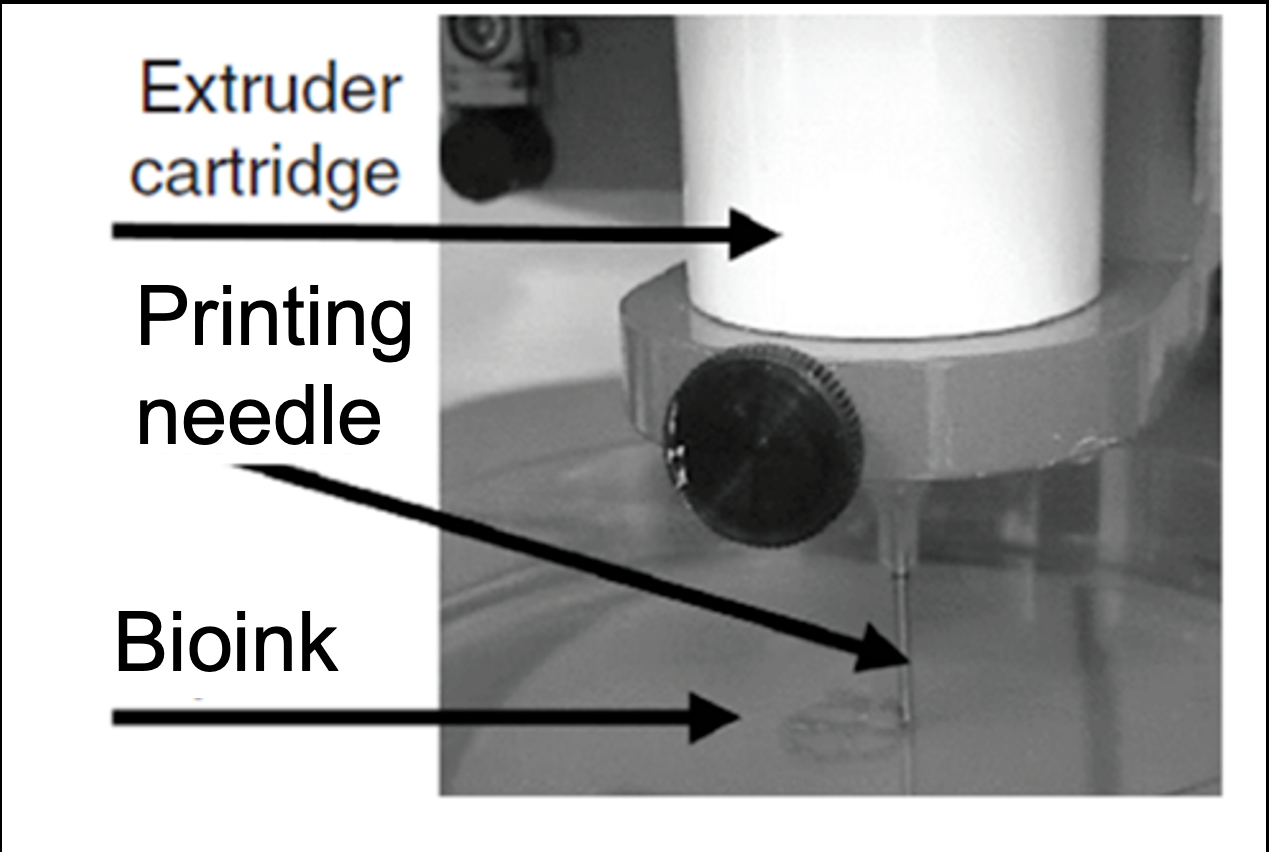Figure 1. A 3D bioprinter extruding bioink from a printing needle.