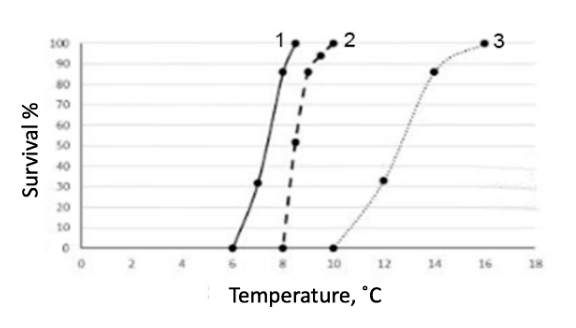 Line graph of survival percentage vs. temperature, with three curves. Curve 1 (8 hours cold exposure, 18°C acclimation) rises from 0% survival at 6°C to 100% by about 9°C. Curve 2 (8 hours cold exposure, 20°C acclimation) is shifted right, reaching 100% survival only around 10°C. Curve 3 (168 hours cold exposure, 20°C acclimation) is shifted much further right, reaching 100% survival only around 16°C.