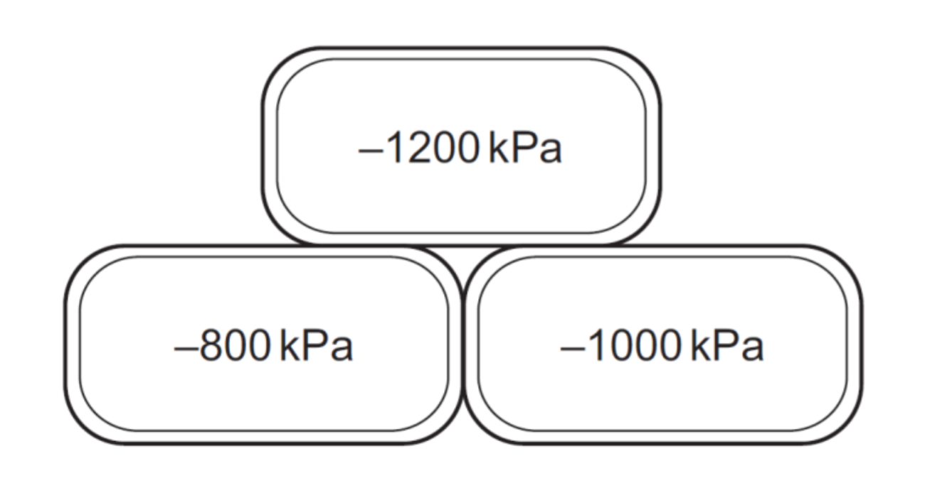 Three adjacent plant cells with water potentials -1200 kPa (top), -800 kPa (bottom-left), and -1000 kPa (bottom-right).