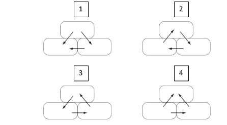 Four candidate diagrams (1-4) showing different arrow directions for water movement between the three cells.