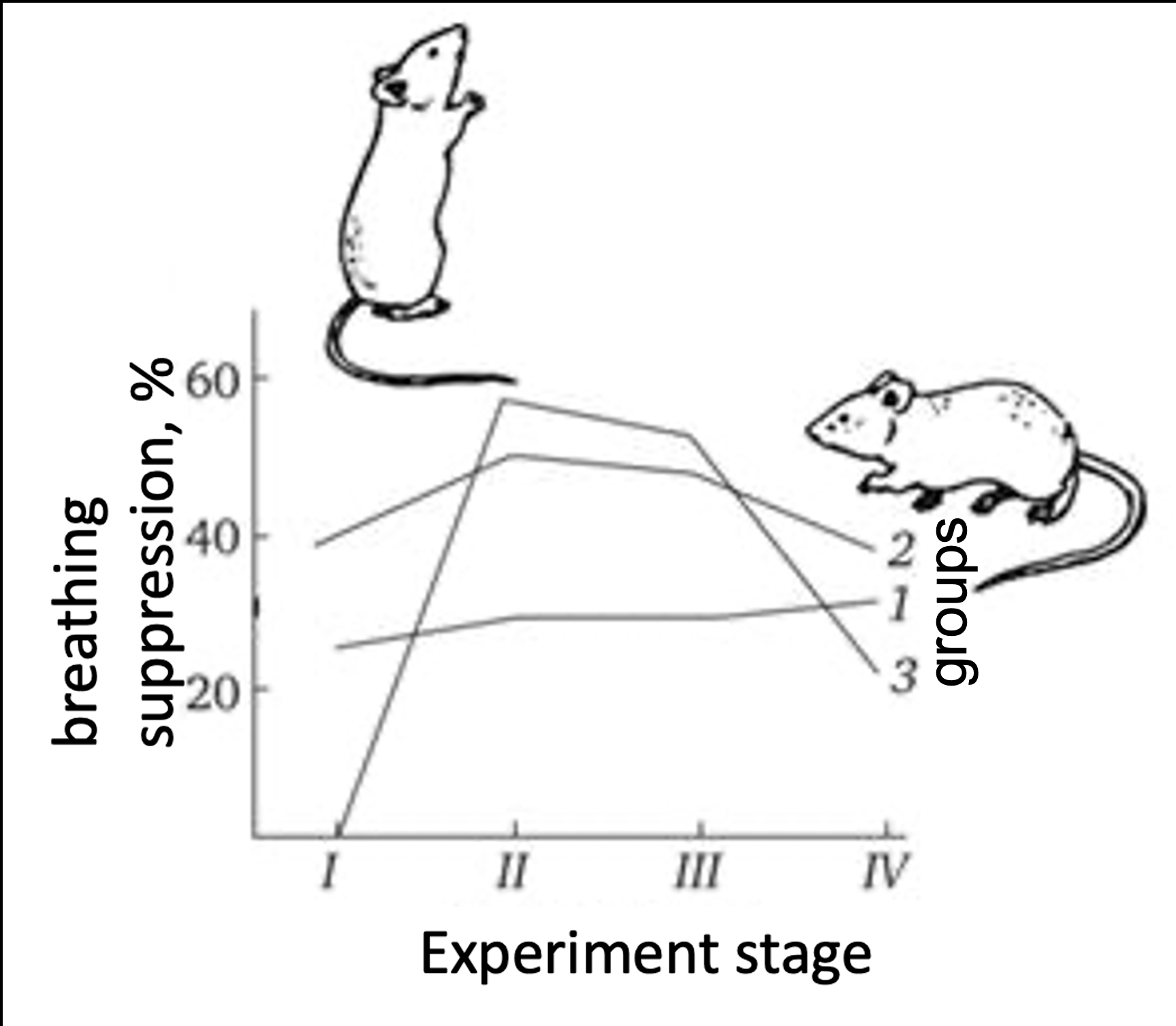 Graph of stress-response dynamics over time for dominant, subdominant, and subordinate male mice, across four timepoints: before grouping, day 1, day 7, and after separation.