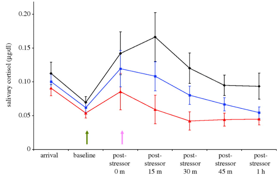 Figure 1. Changes in salivary cortisol levels in girls during observations, for control, vocal, and tactile groups.