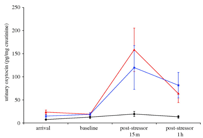 Figure 2. Urinary oxytocin content relative to creatinine, for control, vocal, and tactile groups.