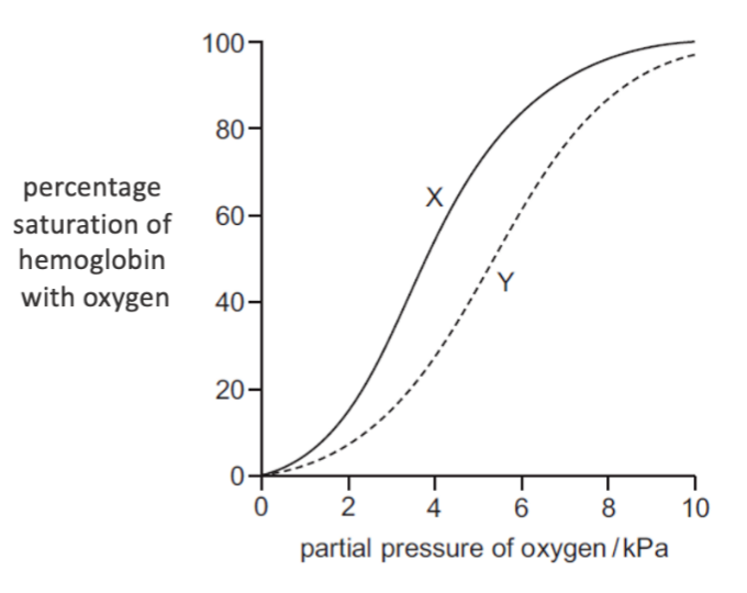 Graph of percentage haemoglobin oxygen saturation vs. partial pressure of oxygen, showing curves X and Y (the Bohr shift).