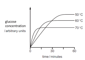 Glucose concentration vs. time for amylase at 50°C, 60°C, and 70°C.