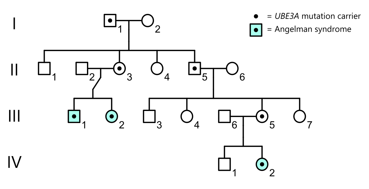 Four-generation pedigree tracking UBE3A mutation carriers and Angelman syndrome cases.