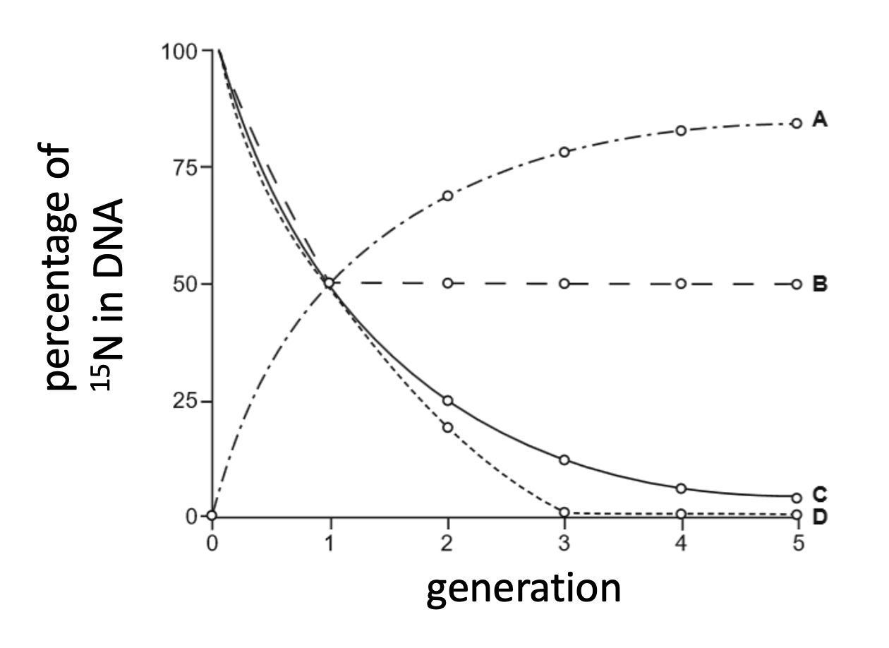 Percentage of 15N in DNA vs. generation, for four candidate curves A–D.