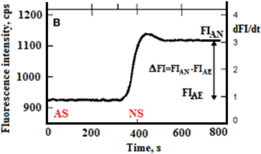 Figure. NAD(P)H fluorescence intensity during the aerobic-anaerobic transition. FI = fluorescence intensity, AS = air sparging (bubbling of air), NS = nitrogen sparging. FI_AN = fluorescence intensity during the anaerobic phase, FI_AE = fluorescence intensity during the aerobic phase.