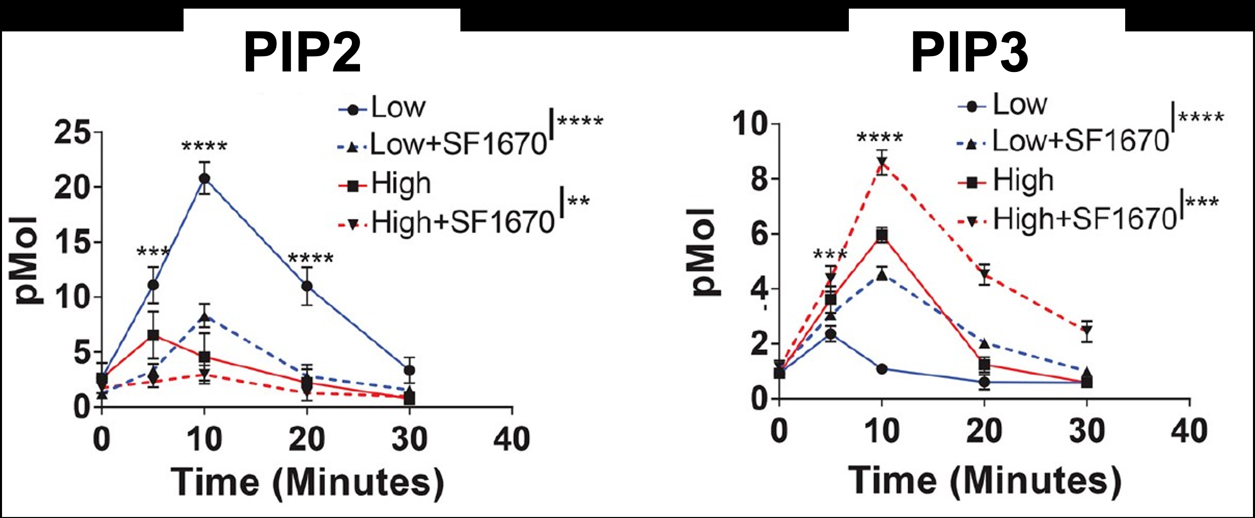Figure. Left plot: experimentally measured PIP2 concentration vs time. Right plot: PIP3 concentration vs time. Blue = low dosage stimulation, red = high dosage. Solid lines = no SF1670; dotted lines = SF1670 (PTEN inhibited) used.
