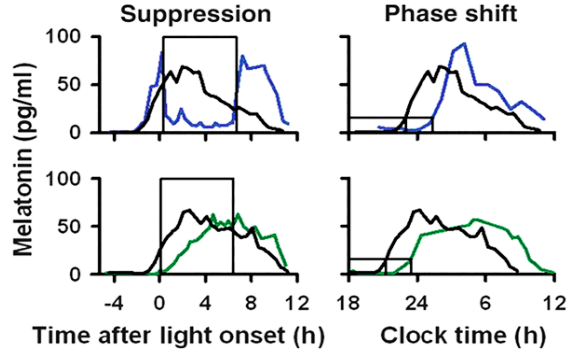 Two panels showing melatonin suppression over time for a blue-light treatment group and a green-light treatment group, exposure indicated by a black box, alongside melatonin fluctuation the day before the experiment and the day after.