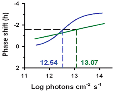Graph of phase shift in circadian rhythm plotted against the log amount of light received, rising and saturating at a maximum shift; dashed lines mark half of the maximum shift and the corresponding light dose.