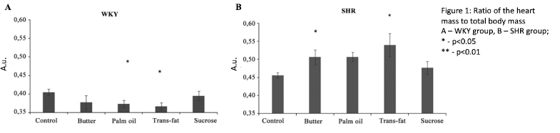 Bar chart of heart-mass-to-body-mass ratio, panel A for WKY rats and panel B for SHR rats, across Control, Butter, Palm oil, Trans-fat, and Sucrose diet groups. WKY palm oil and trans-fat groups show a significant decrease relative to control; SHR butter and trans-fat groups show a significant increase relative to control.