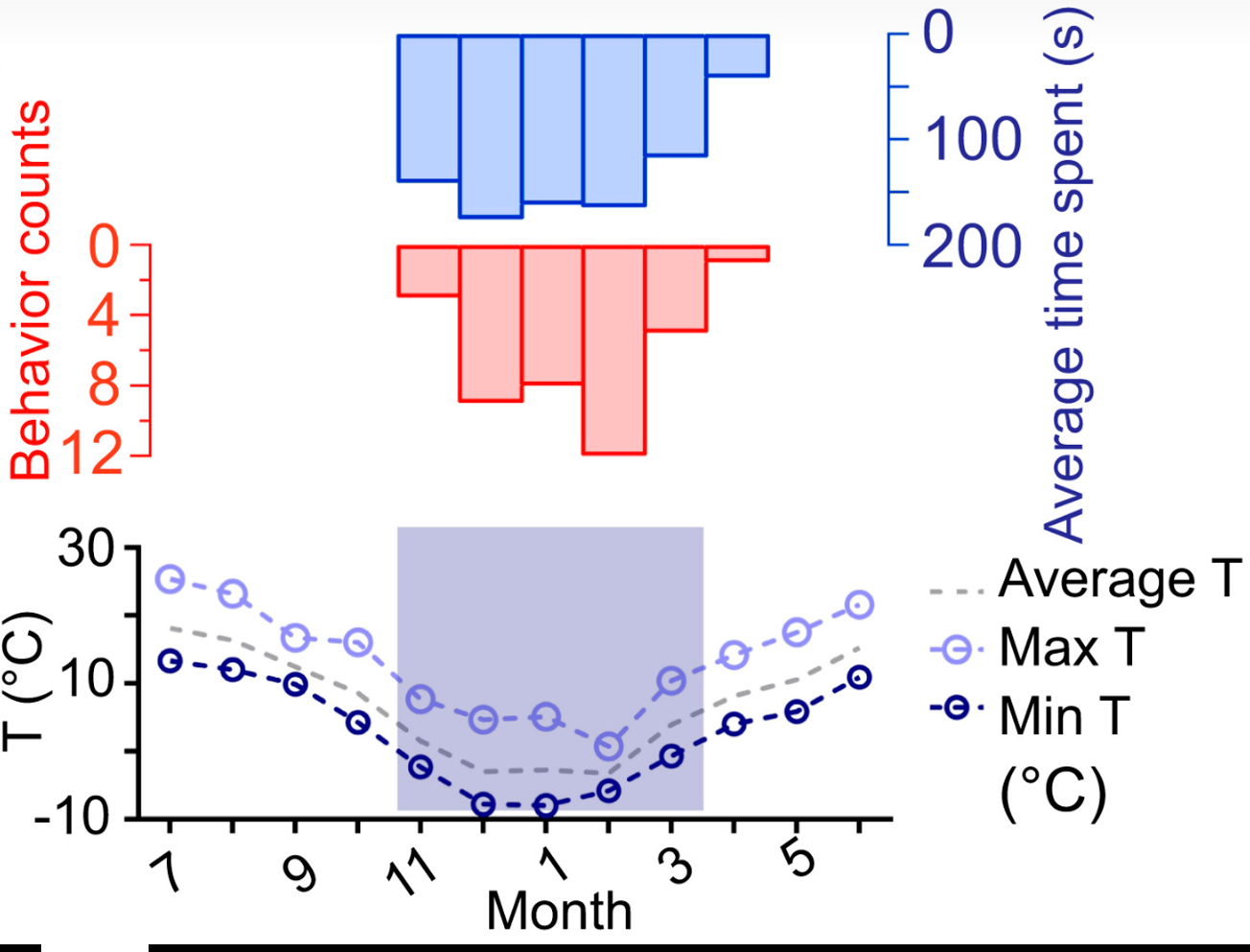 Combined histogram and line-graph figure. Top: number of feces-smearing behavior events and average time spent per event, both peaking during the winter months (November-March). Bottom: monthly average, maximum, and minimum temperature, with the coldest months shaded, showing the behavior peak coincides with the coldest part of the year.