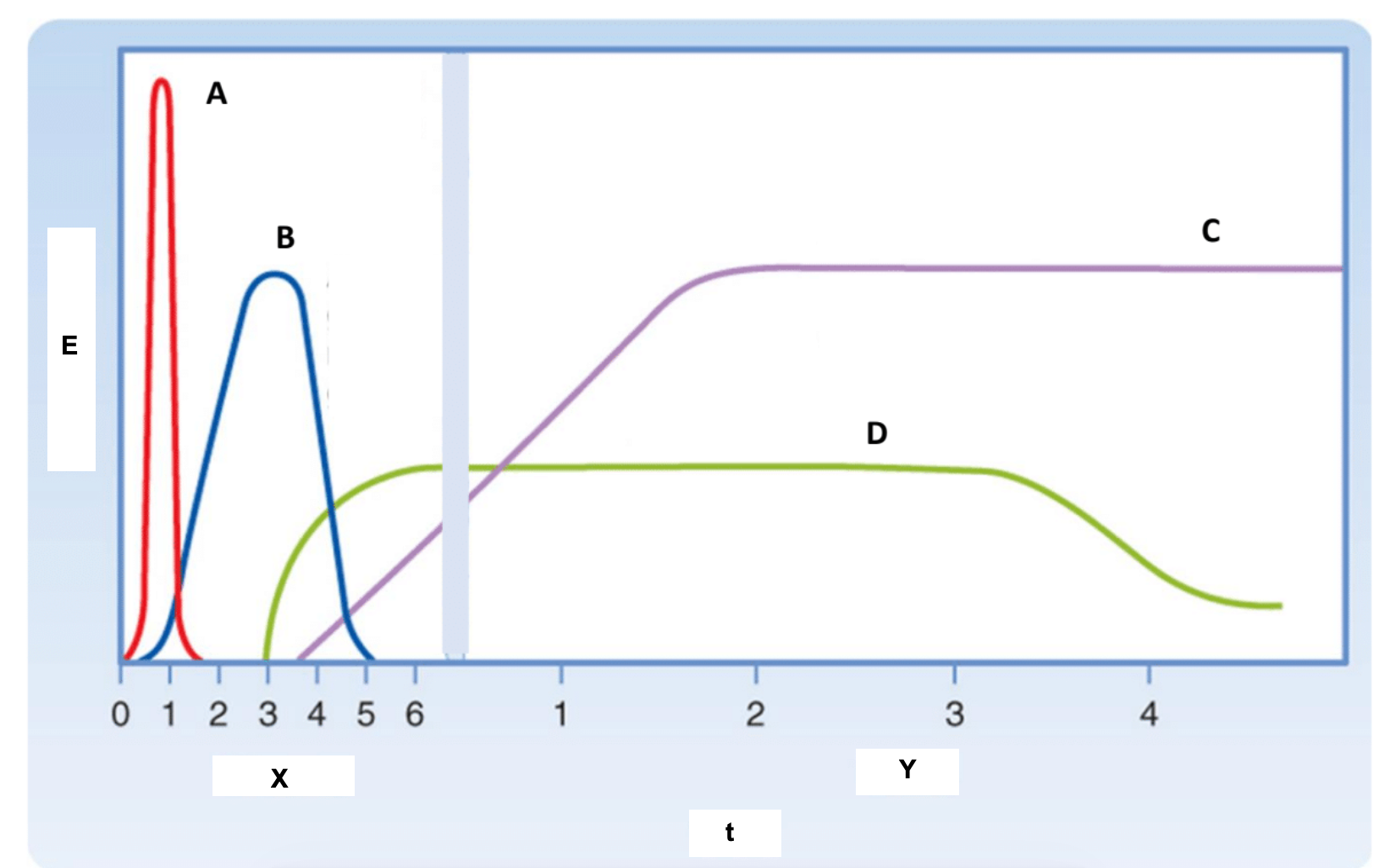 Energy contribution curves A-D over time, with E (Energy) on the y-axis and t (Time) on the x-axis. X marks Minutes, Y marks Hours. Curve A peaks sharply within the first minute then drops. Curve B peaks around 2-4 minutes then declines. Curve C rises slowly and plateaus at a high level over hours. Curve D rises after A and B subside and sustains at a moderate level.