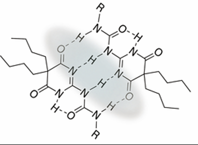 Structural diagram of the X/Y base pair showing three hydrogen bonds between the two bases, similar to a G/C pair.