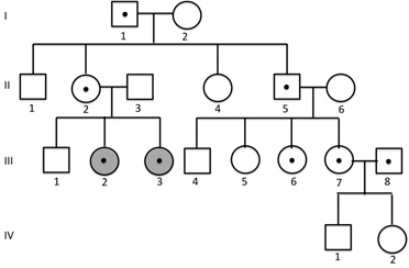 Pedigree diagram showing four generations. Generation I: male I-1 (carrier, dot) married to female I-2 (unaffected). Generation II: male II-1, female II-2 (carrier), male II-3 married to II-2, female II-4, female II-5 (carrier) married to male II-6. Generation III: male III-1, female III-2 (affected, shaded), female III-3 (affected, shaded), male III-4 (carrier, dot), male III-5, female III-6, female III-7, male III-8 (carrier, dot). Generation IV: female IV-1 and male IV-2 (children of III-7 and III-8).
