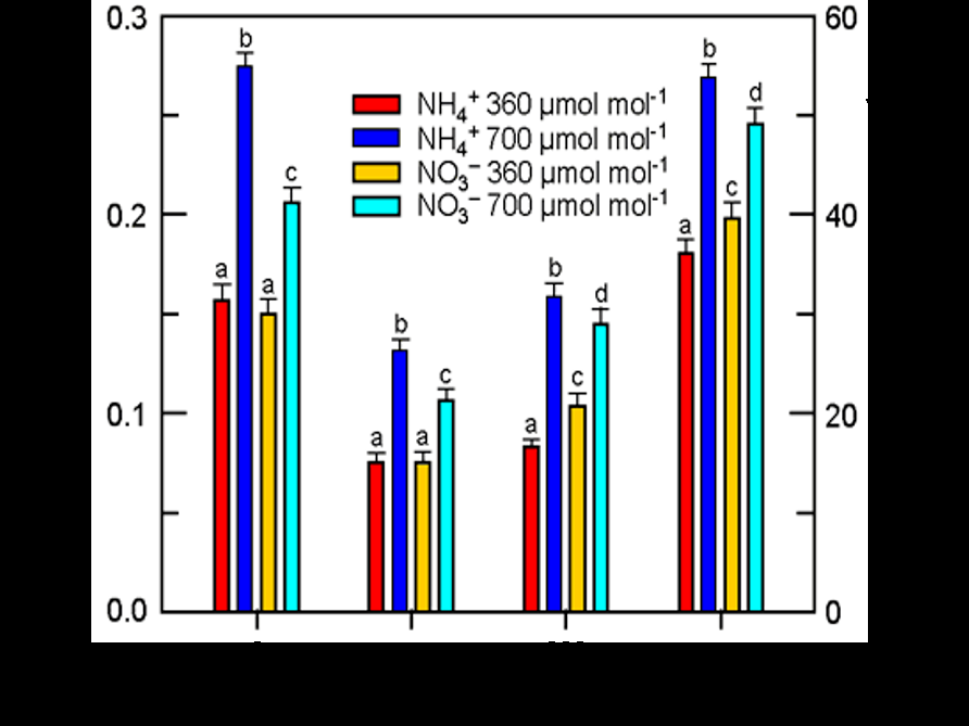 Figure 1. Bar chart showing biomass (g dry mass, left y-axis) and leaf area (cm2, right y-axis) per plant of wheat seedlings under four treatments: NH4+ at 360 umol/mol CO2 (red), NH4+ at 700 umol/mol CO2 (blue), NO3- at 360 umol/mol CO2 (yellow), NO3- at 700 umol/mol CO2 (cyan). Groups shown: Shoot, Stem, Root, Leaf area. NH4+ at elevated CO2 (blue) shows the largest increases. Bars with different letters differ significantly.