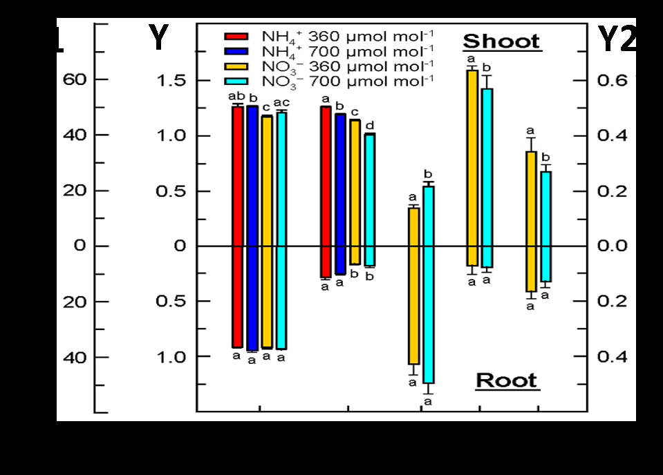 Figure 2. Bar chart split into Shoot (top) and Root (bottom). Shows Total N, Protein, NO3- concentration, NO3- reductase activity, and NO2- reductase activity under the same four treatments. In shoots, elevated CO2 increases NO3- concentration and affects enzyme activities. In roots, most parameters are unchanged between CO2 treatments. Bars with different letters differ significantly.