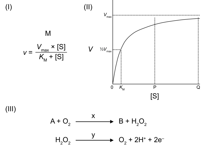 Michaelis-Menten equation, plot, and glucose oxidase reaction scheme showing glucose meter strip operation
