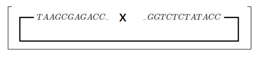 Oral glucose tolerance test results showing blood glucose concentration over time for WT, DIO, and DIO + C-STAR mice