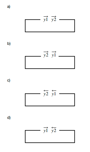 Insert 1 and Insert 2 with BsaI recognition sites