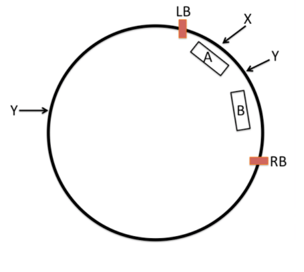 Four possible construct outcomes (a, b, c, d) after Golden Gate assembly
