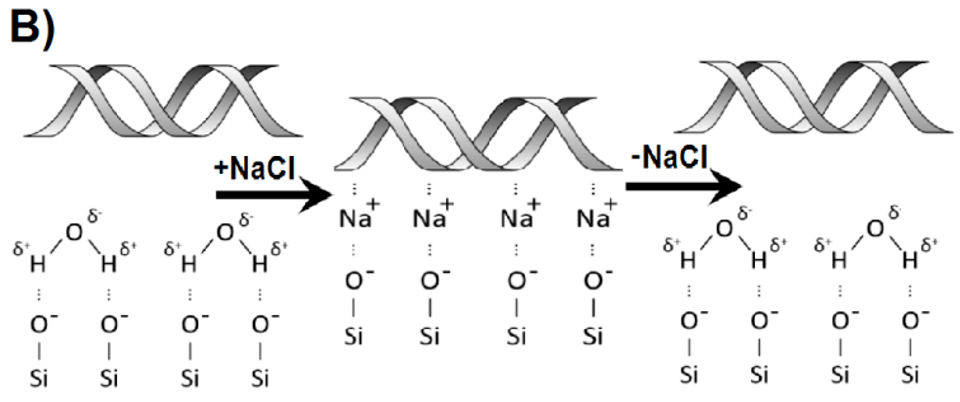 Binding site deletion experiment results table