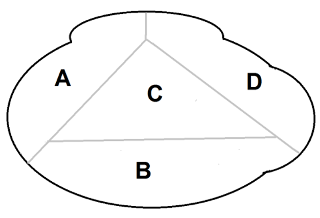 Shell diagram showing the four drilling areas A, B, C, D