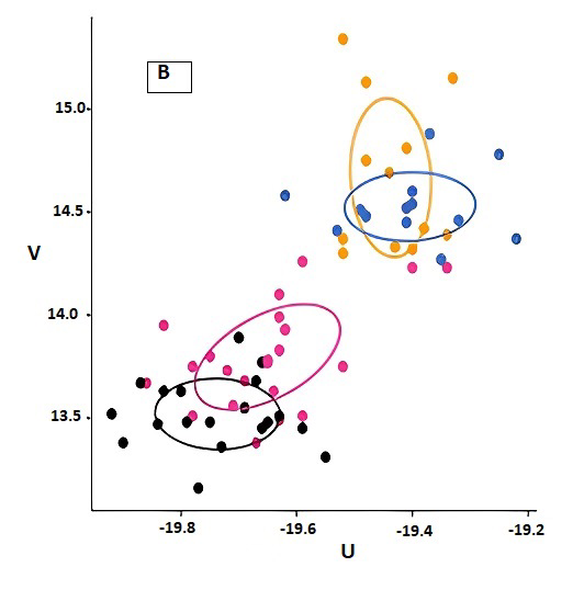 Figure B: Stable isotope ratios (δ15N vs δ13C) for the four species