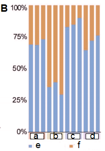 Figure B: Relative proportions of mastigotes and coccoid cells under nutrient depletion conditions