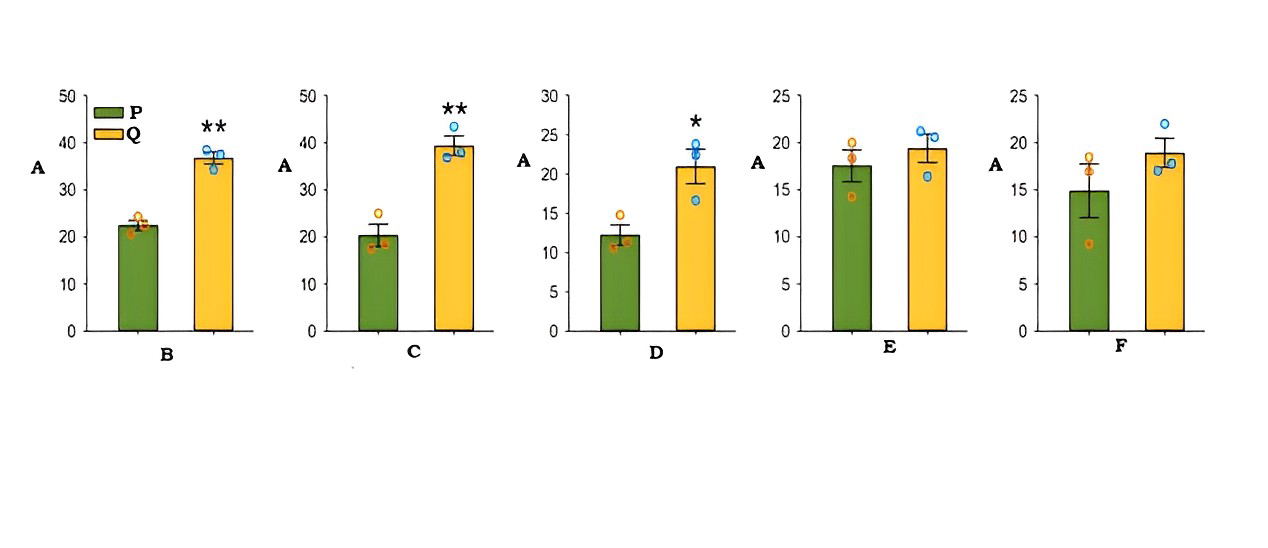 Fig. 1: Effects of different phenolic glycosides on the mortality of B. tabaci adults either treated with siRNA against BtPMaT1 (yellow) or control (green) group