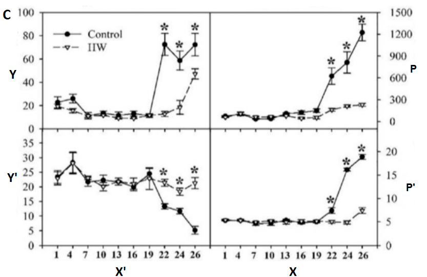 Comparison of leaf anatomy and CO2 fixation pathways in C3 and C4 plants