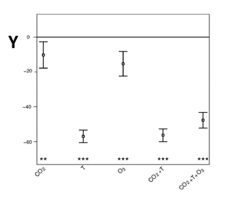 Allocation of assimilates to different sinks (expanding leaves, mature leaves, roots) under water stress