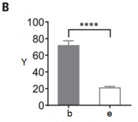 Additional experimental data