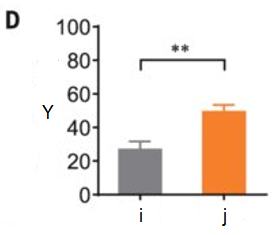 Experimental results with PLX treatment