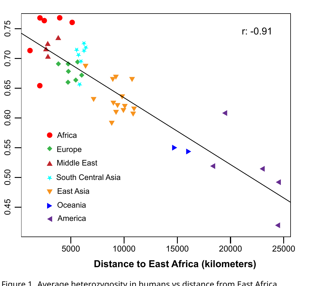 Scatter plot of mean heterozygosity in human populations against distance from East Africa in kilometers, showing a strong negative correlation (r = -0.91), with African populations at high heterozygosity/low distance and American populations at low heterozygosity/high distance.