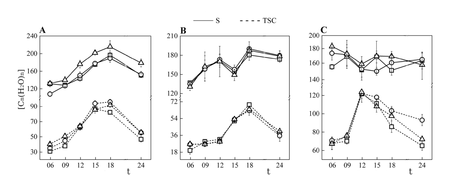 Three sets of plots of leaf starch concentration (S) and total soluble carbohydrate concentration (TSC) against time of day, for two vegetative growth stages and one reproductive stage, across three maize cultivars.