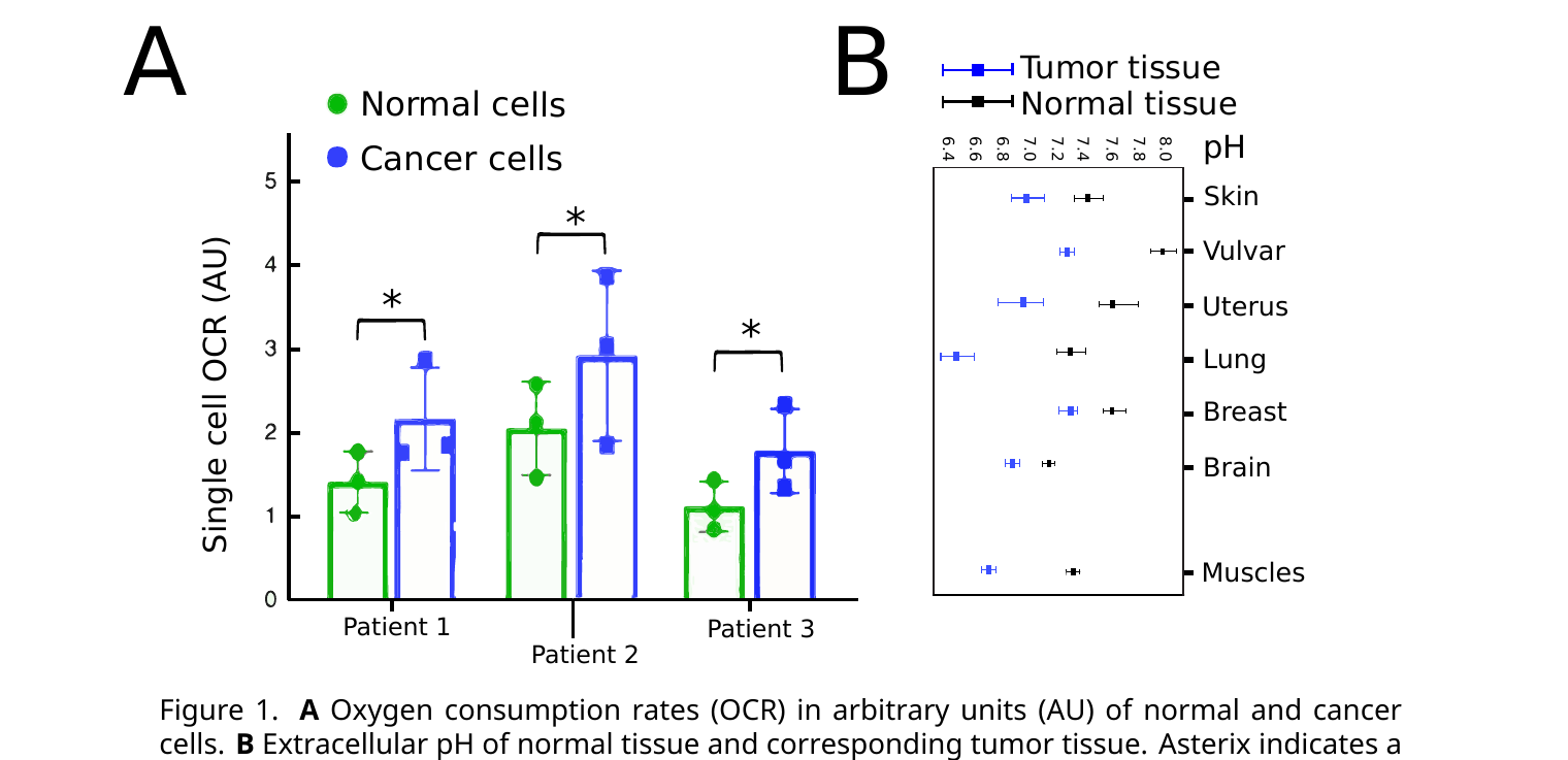 Panel A: bar chart of single-cell oxygen consumption rate for normal (green) vs. cancer (blue) cells from three patients, with cancer cells higher in each case and Patient 2’s cancer cells showing the widest spread. Panel B: dot plot of extracellular pH for tumor tissue (blue) vs. normal tissue (black) across skin, vulvar, uterus, lung, breast, brain, and muscle, with tumor tissue consistently more acidic.