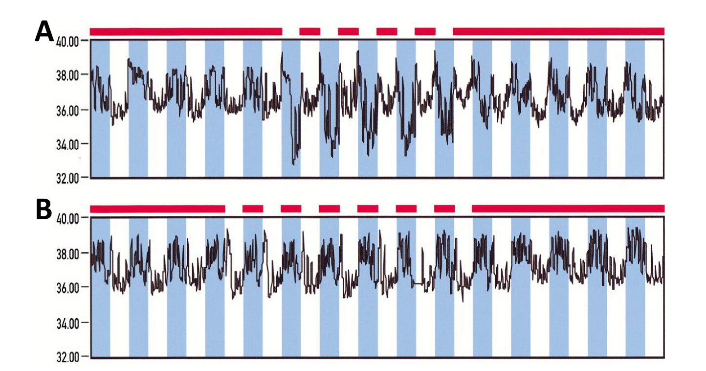 Body-temperature recordings over several days for light-fed and dark-fed mice, with feeding periods marked by bars and dark phases shaded in blue, showing wider temperature swings in the light-fed group.