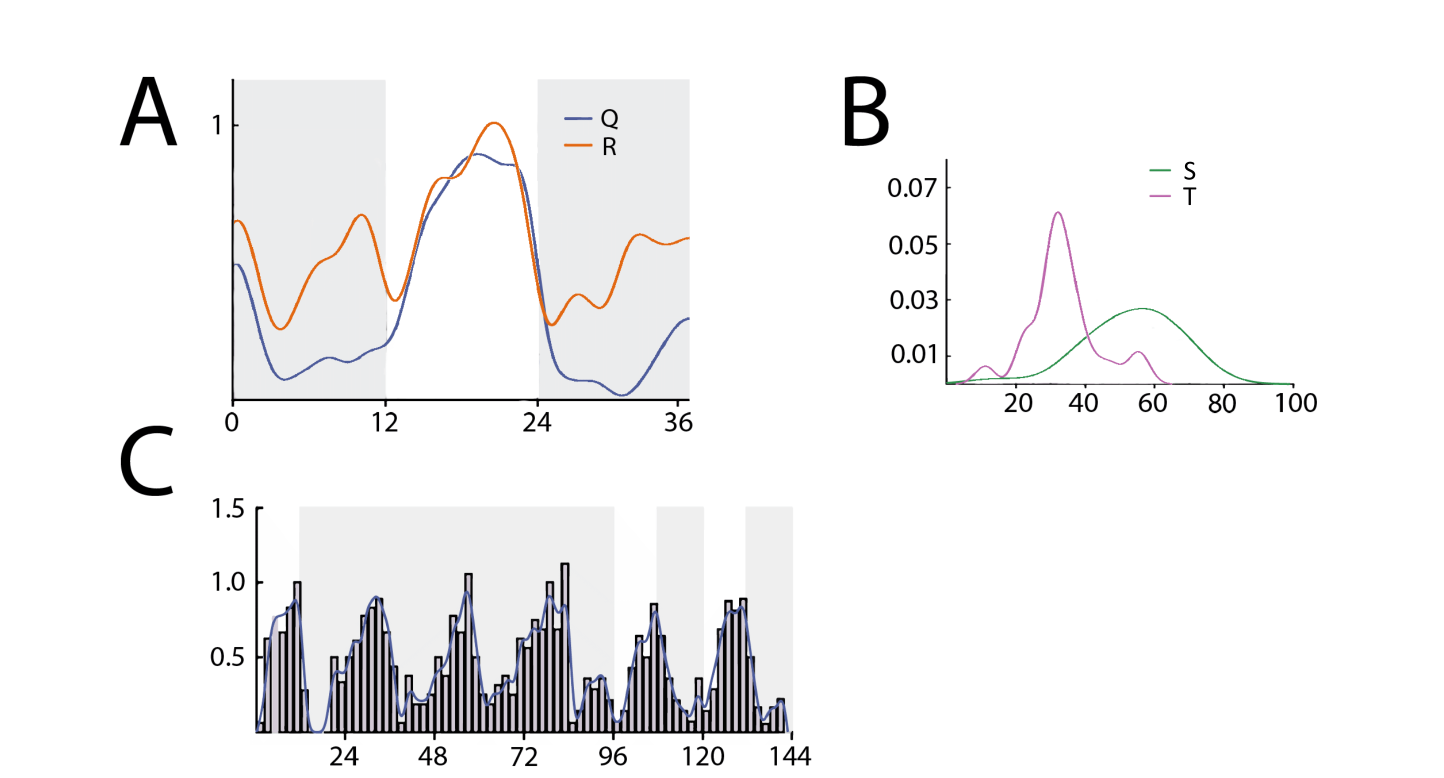 Average number of active bouts per hour over 36 hours before and after sleep deprivation, a plot of the probability of the next active bout occurring N minutes after a normal or interrupted bout, and active bouts per hour over 3 days of constant darkness.