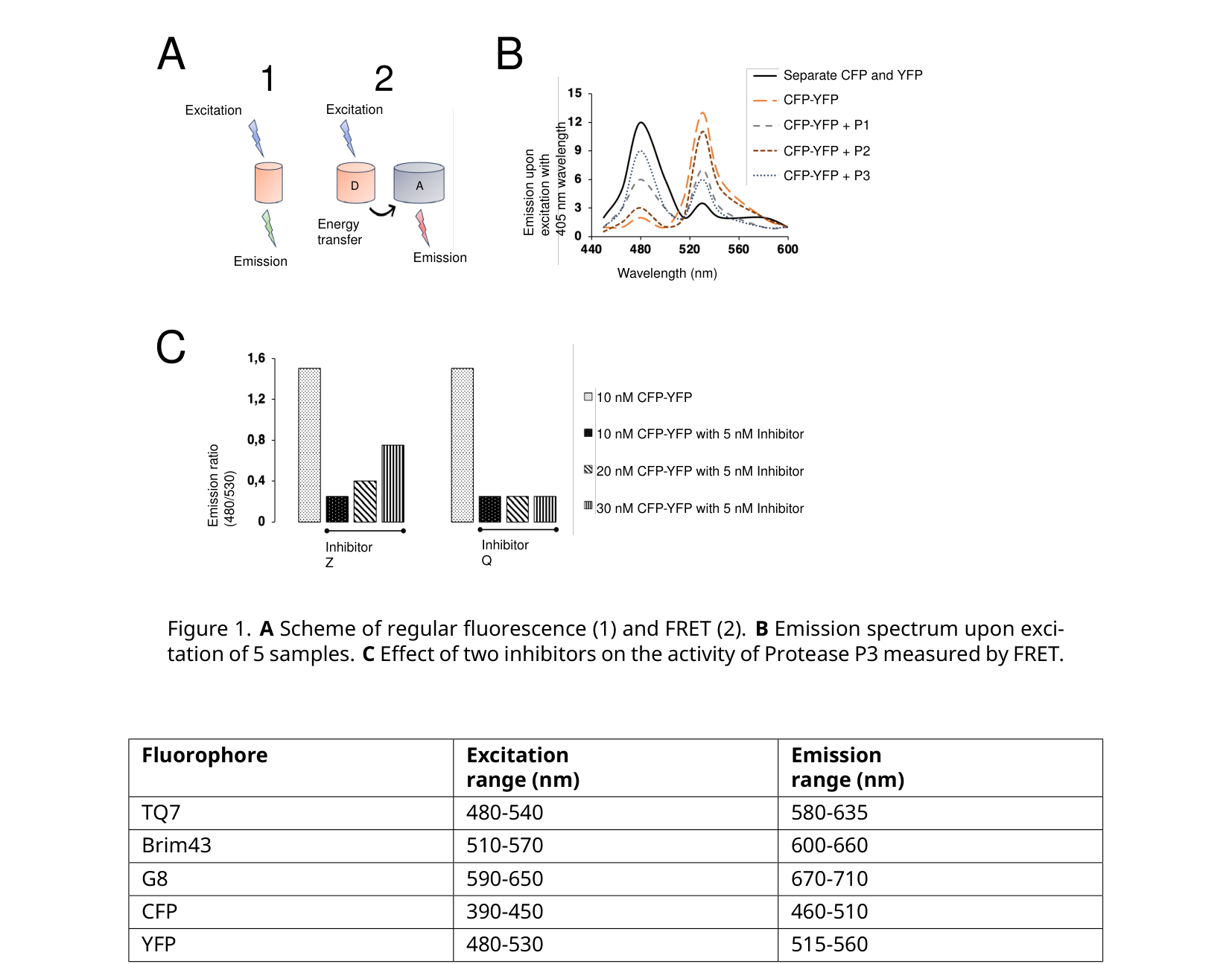 Panel A: schematic of regular fluorescence vs. FRET. Panel B: emission spectra of 5 samples (separate CFP/YFP, CFP-YFP, and CFP-YFP with proteases P1/P2/P3). Panel C: bar charts of the emission ratio for inhibitors Z and Q at increasing substrate concentration. Below: a table of fluorophore excitation/emission ranges.