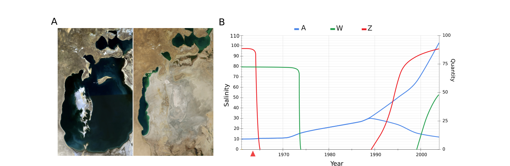 Left: two side-by-side satellite photos of the Aral Sea before and after drying out. Right: a graph of salinity and the population quantity of species W and Z over time from before 1970 to 2000s, with an arrow marking an artificial species introduction.