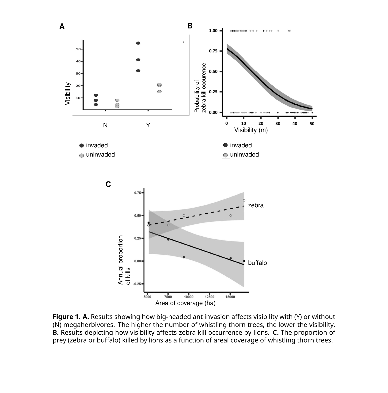 Panel A: a scatter plot of visibility with/without megaherbivores, in invaded vs. uninvaded areas. Panel B: a logistic curve of the probability of a zebra kill against visibility. Panel C: two trend lines of the annual proportion of zebra vs. buffalo kills against whistling-thorn tree coverage area.