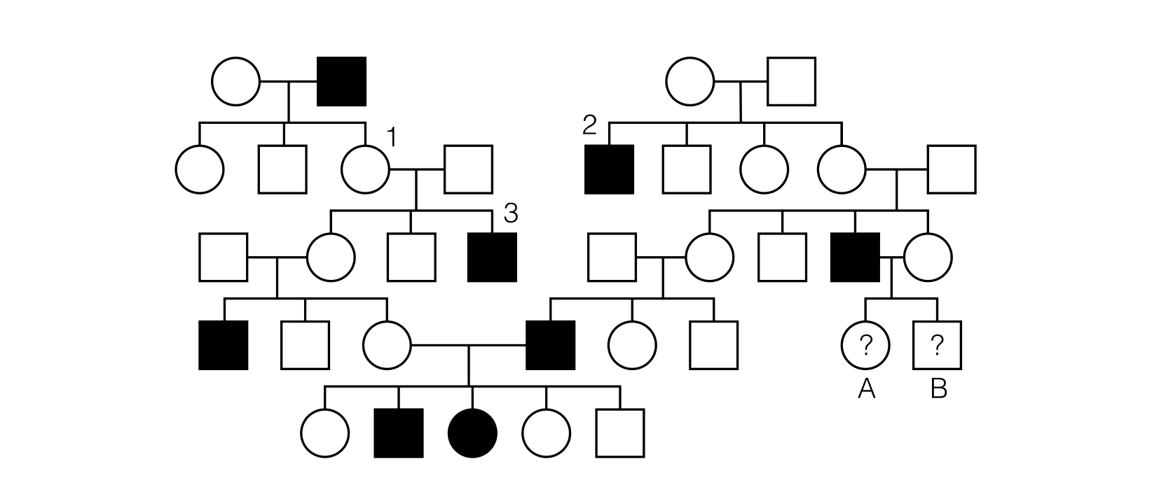 A five-generation pedigree of mice showing the “performant” (black) phenotype passed through several families, with individuals 1, 2, and 3 labeled, and two unknown-phenotype individuals A and B at the bottom right.