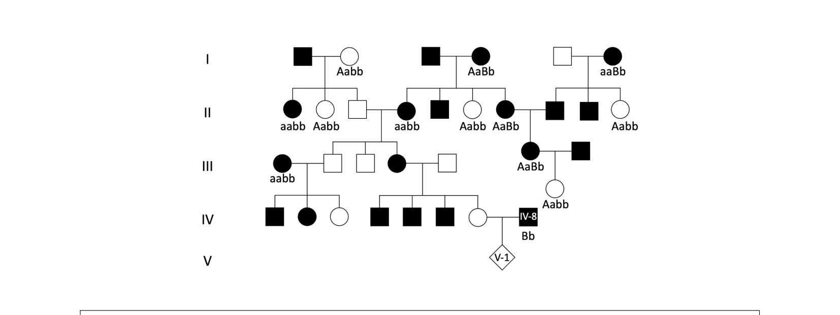 A five-generation pedigree with genotype labels (e.g. Aabb, AaBb, aaBb) shown under several individuals, black-filled shapes marking black-haired individuals, ending in individual V-1 whose phenotype is being asked about.