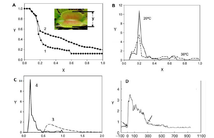 Four-panel graph of Venus flytrap closure kinetics: panel A shows normalized trap-closure distance over time for two curves (1 and 2), with an inset photo of a trap mid-closure; panel B shows closure speed at 20°C and 36°C; panel C shows closure speed for curves 3 (during substance A treatment) and 4 (after washing out substance A); panel D shows the leaf’s respiration rate over time after repeated trigger-hair stimulation, with two arrows marking stimulation onset and offset.