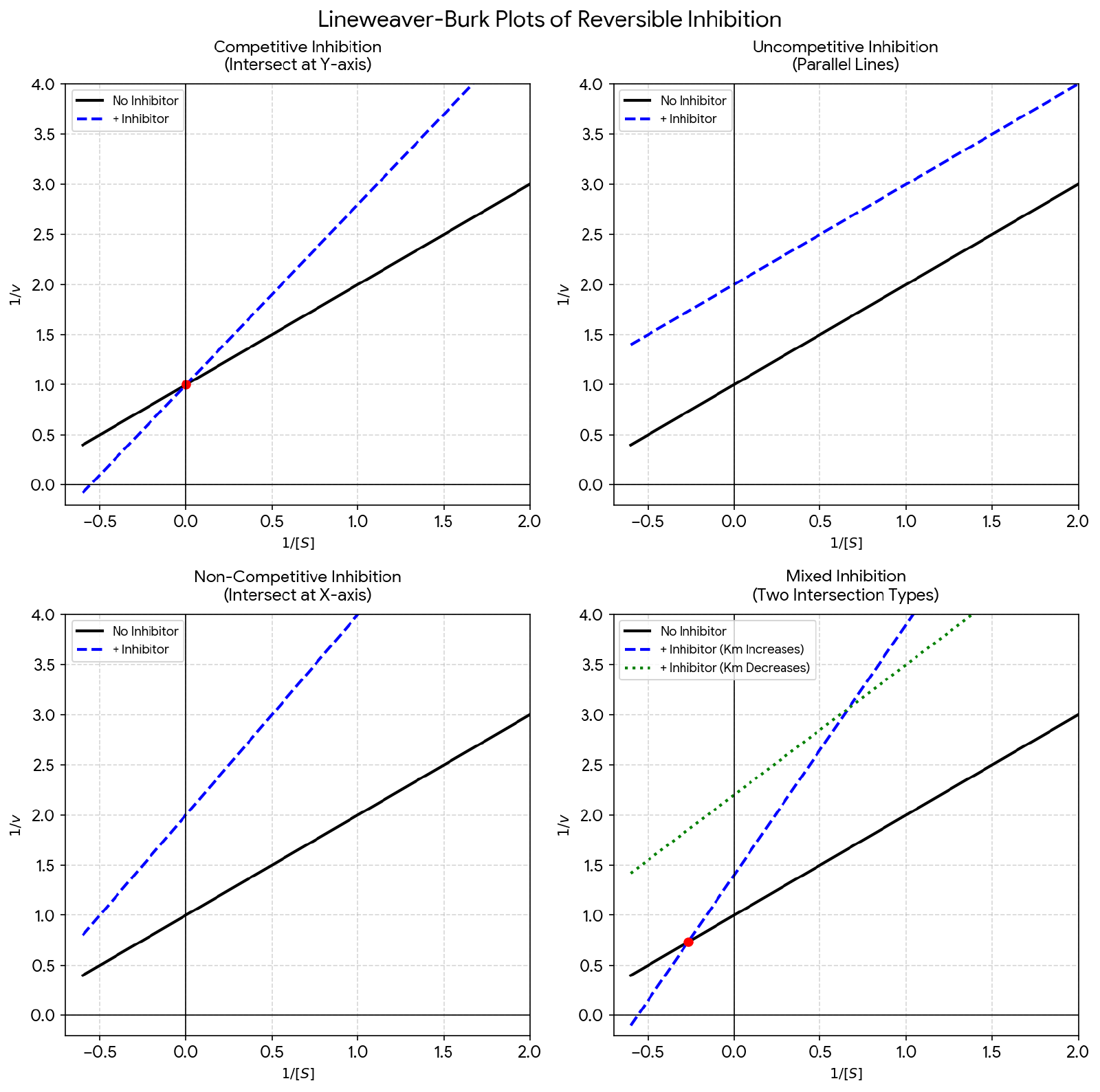 Lineweaver-Burk plots of all four reversible inhibition types: competitive lines intersect on the y-axis, uncompetitive lines are parallel, non-competitive lines intersect on the x-axis, and mixed lines intersect off both axes