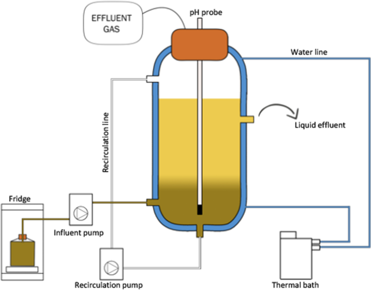 A lactic acid fermentation setup: inoculated MRS broth in flasks or tubes, sampled over time for OD600 and titratable acidity