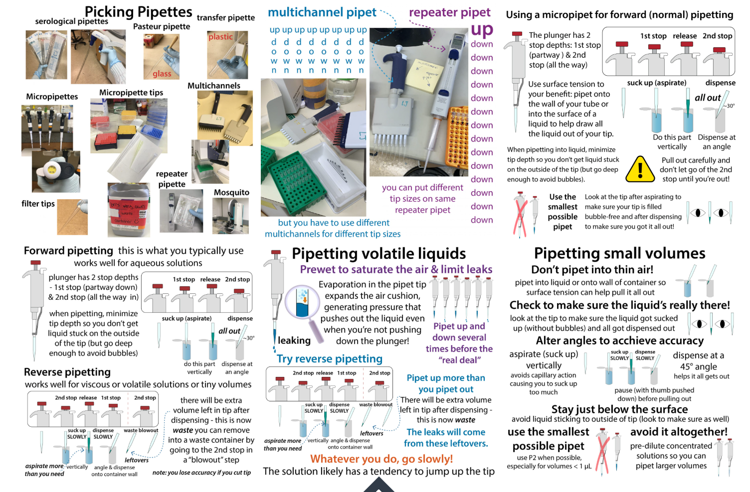 Correct micropipette technique – vertical grip, controlled tip immersion depth, and the first/second stop plunger positions