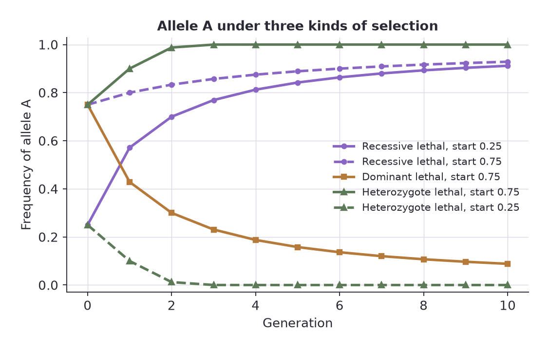 Allele A frequency over ten generations for recessive lethal, dominant lethal and heterozygote lethal selection